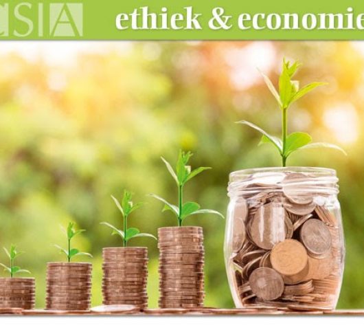 De marktcorrigerende impact van sociale economie