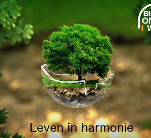 Leven in harmonie