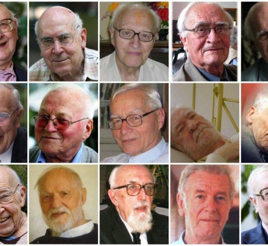 In memoriam Vlaamse jezuïeten 2011-2012