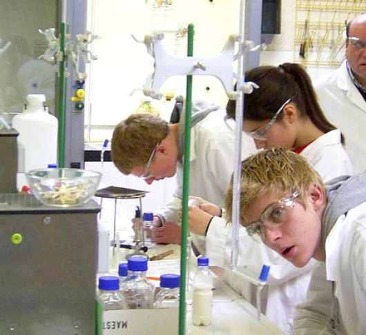 Wat behelst de ignatiaanse pedagogiek?