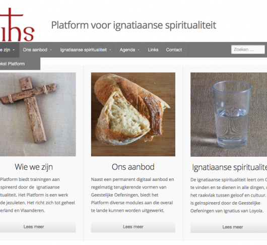 Nieuwe website voor "Platform"