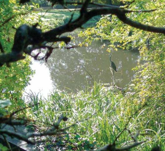 Aanbod "Geestelijke Oefeningen" zomer 2017