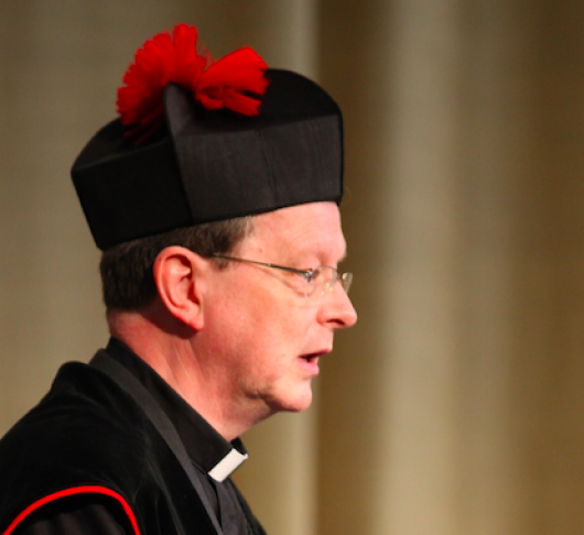 Rob Faesen sj, nieuwe titularis Franciscus-Xaverius-leerstoel Tilburg