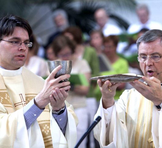 Priesterwijding Walter Ceyssens sj